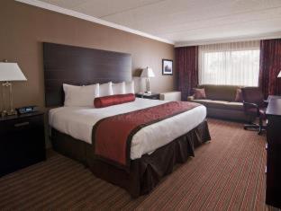 Hotel Wyndham Minneapolis South Burnsville